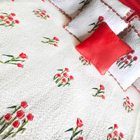 SASHA SALZBURG SPRING PLEASANT PEACH 6 PIECE BEDCOVER SET