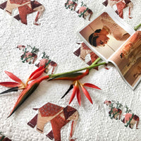 WILLIS WONDERFUL WORLD 6 PIECE QUILTED BEDCOVER SET