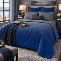 ANDY NORTHERN LIGHTS - FESTIVE COLLECTION OMBRE QUILTED BEDCOVER SET